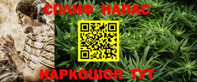 шишки Пугачёв