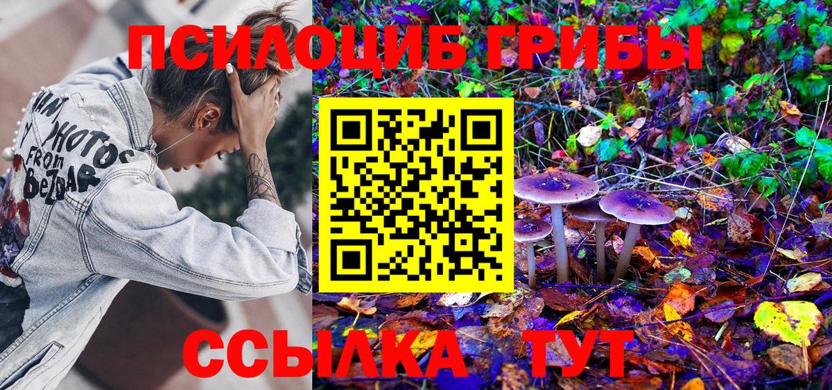 Галлюциногенные грибы MAGIC MUSHROOMS  где купить   Ртищево  Вход с VPN 